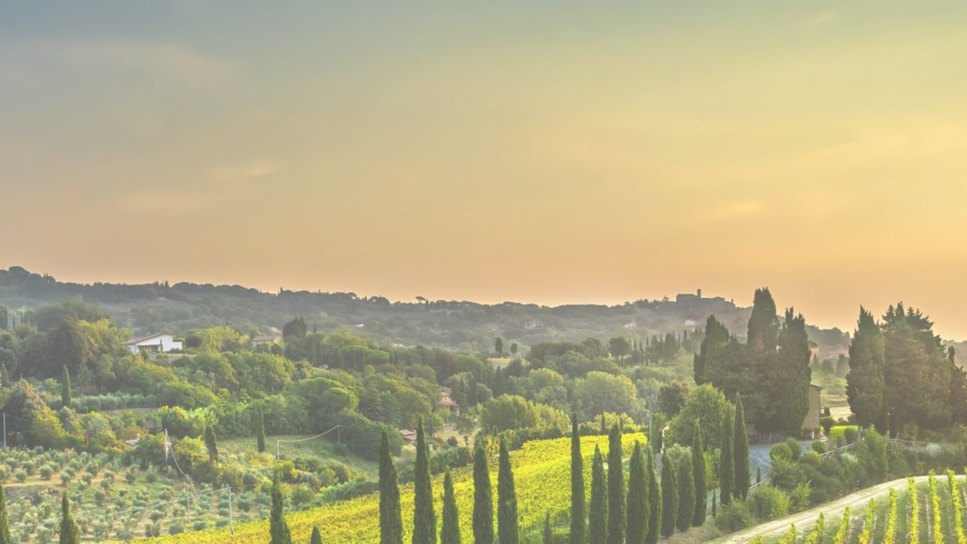 NORTH FULTON COMMUNITY CHARITIES INC background