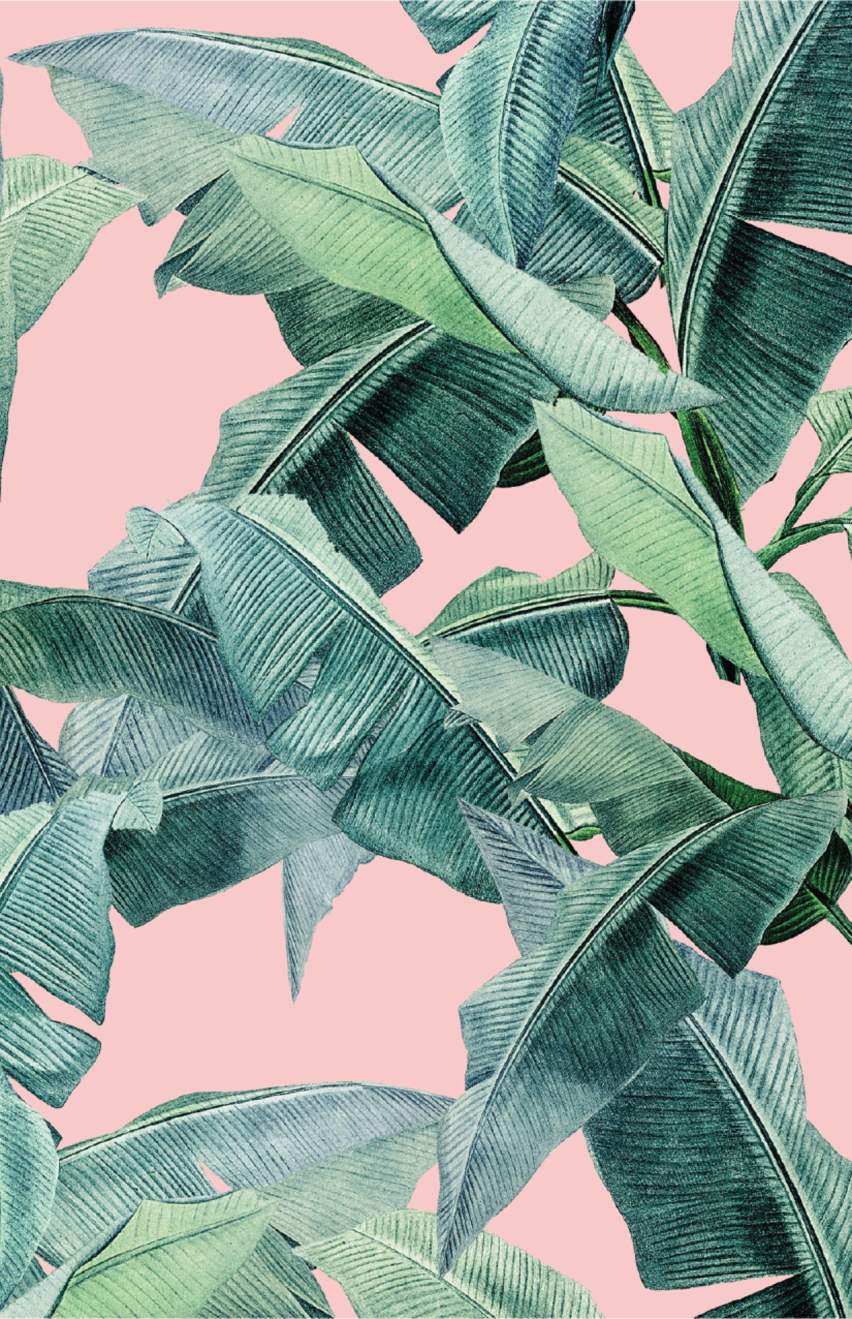 2023 Luncheon of Hope background