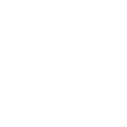 Welcome Home the Whales Online Auction 2023 logo