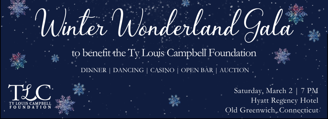 Winter Wonderland Gala banner