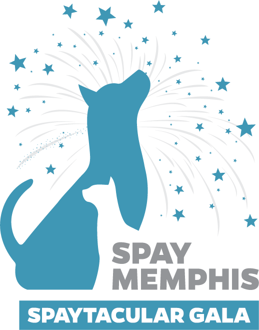 Spaytacular 2024 logo