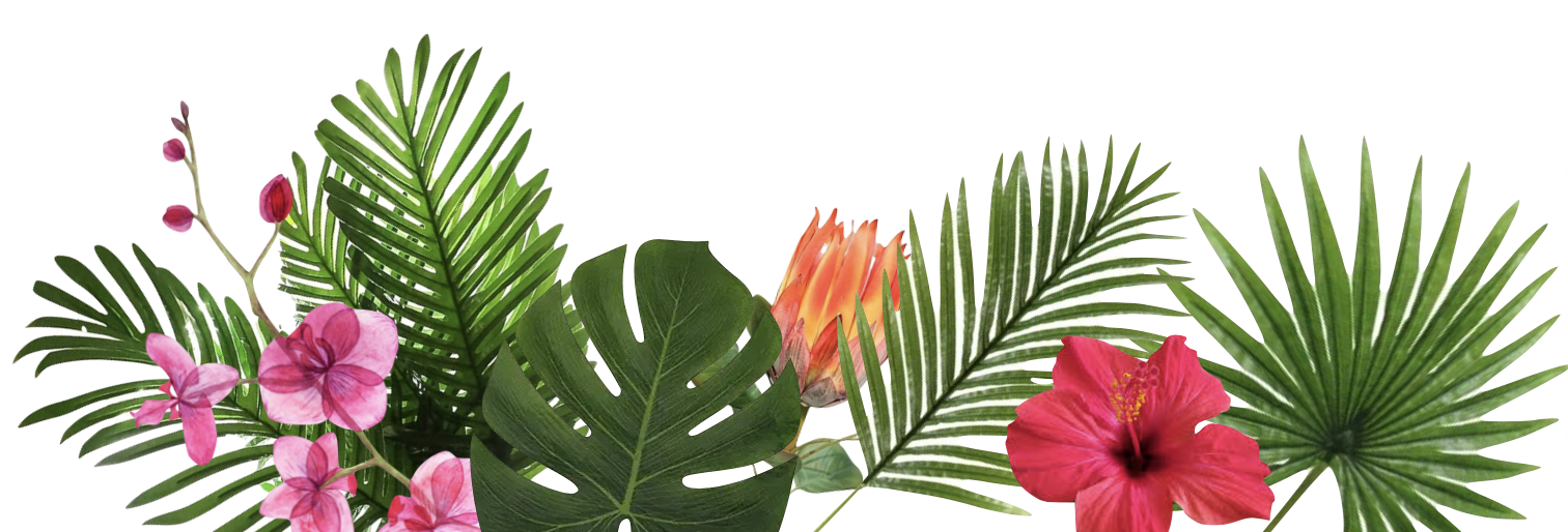 MPRCS Polynesian Paradise background