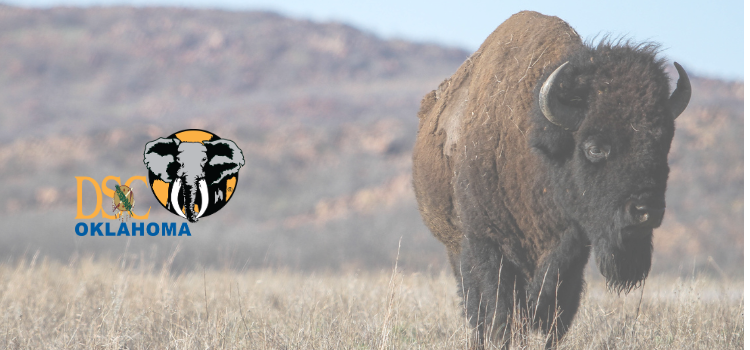 DSC Oklahoma Chapter Annual Banquet 2024 background