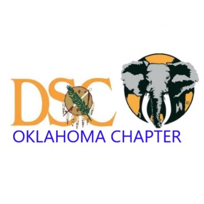 DSC Oklahoma Chapter Annual Banquet 2024 logo