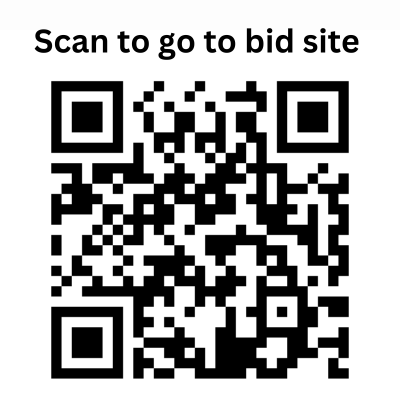 Dancing with Hendricks County Stars logo