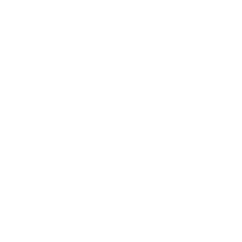 Annual Raffle Party 2024 logo