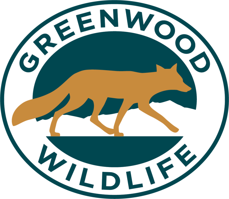 GWRC Wild Night 2024 logo