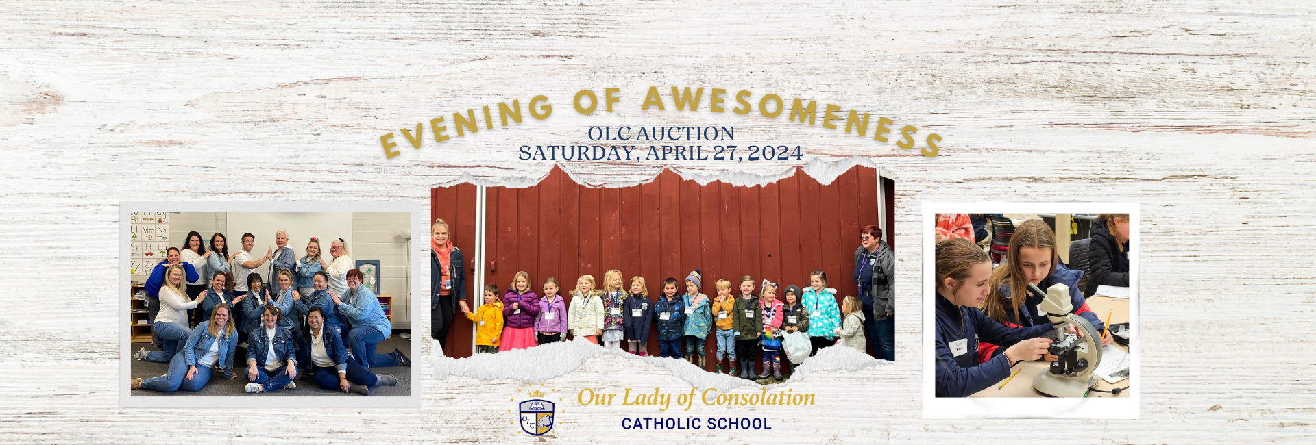 OLC Auction: Evening of Awesomeness background