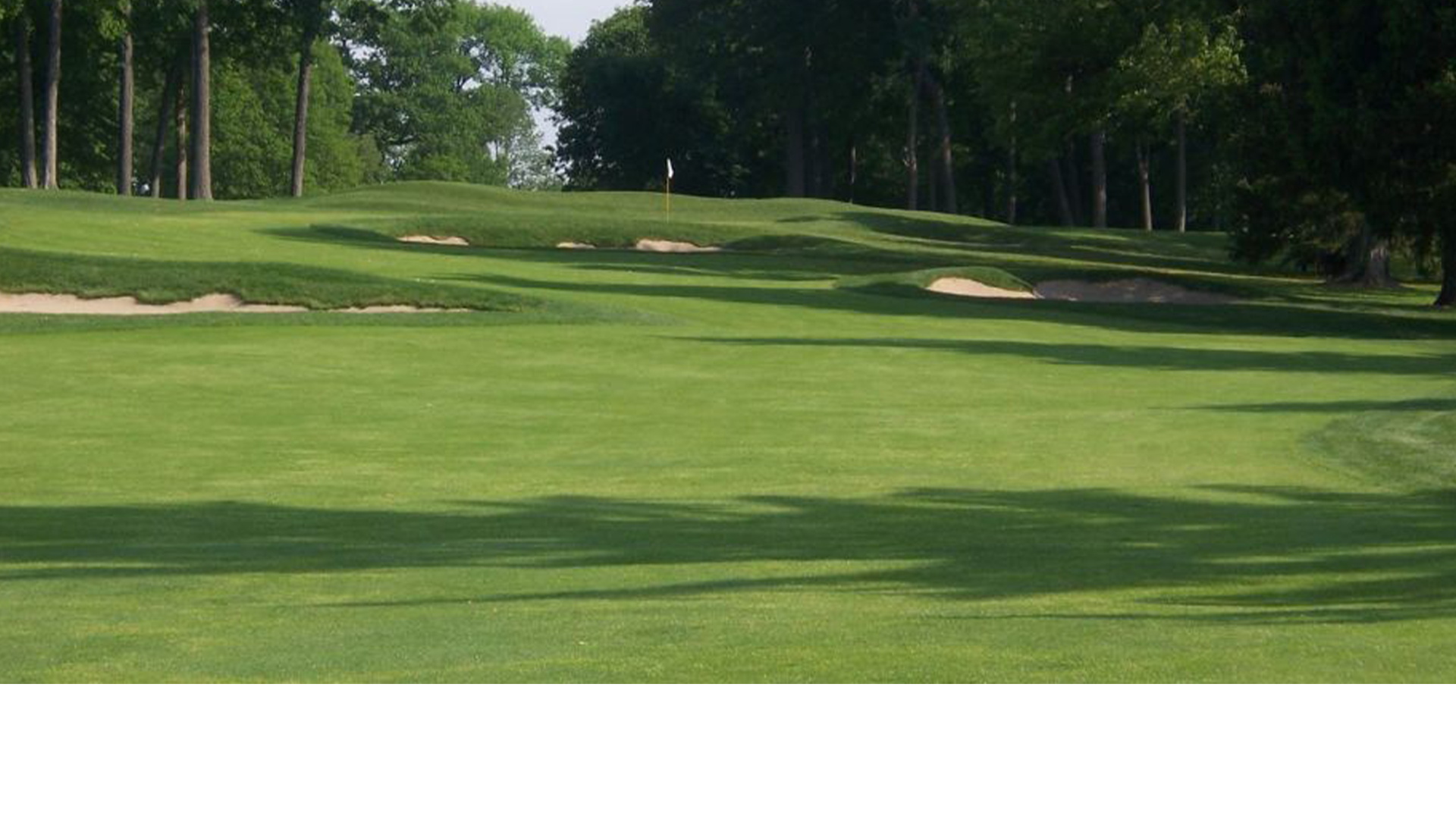 Standard Imaging Battling Cancer Golf Classic 2024 background