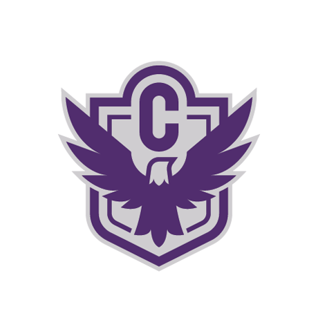 2024 Rock the Nest Silent Auction logo