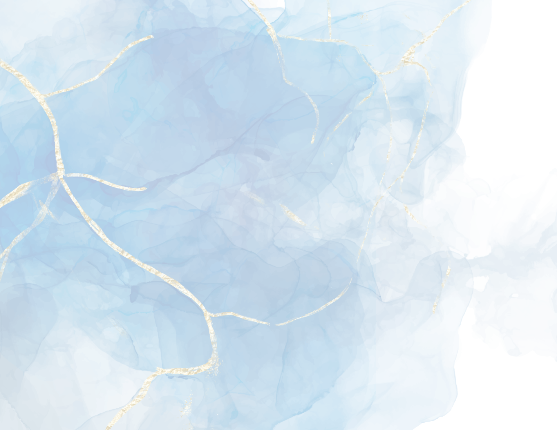 VITALITY Gala 2024 background