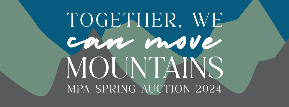 Mounds Park Academy 2024 Spring Auction background