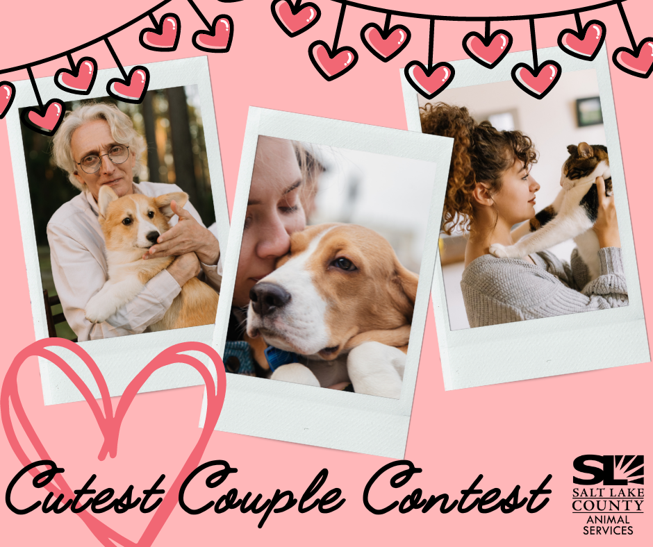 Cutest Couple Contest logo