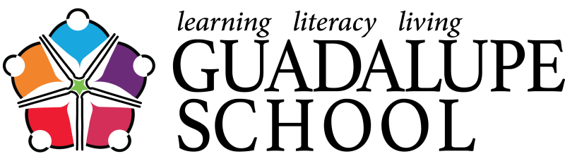 Fiesta For The Future logo