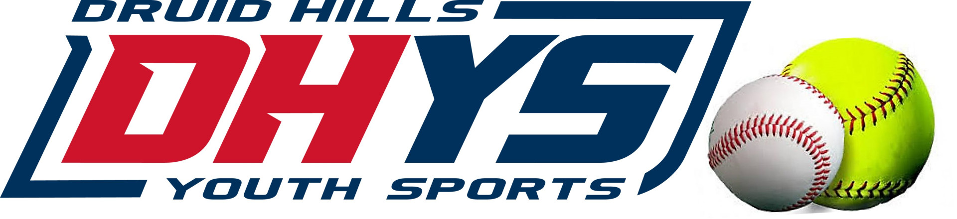 DHYS Silent Auction 2024 logo