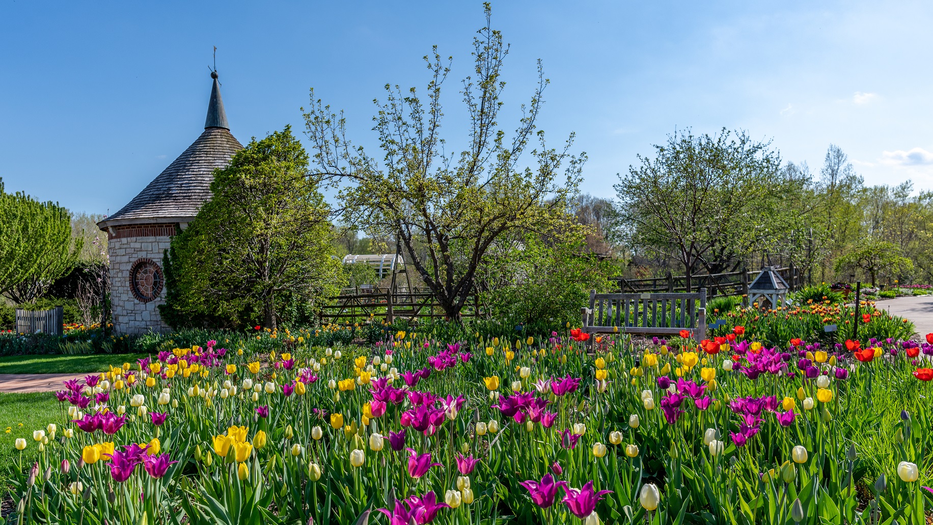 2024 TasteBud background