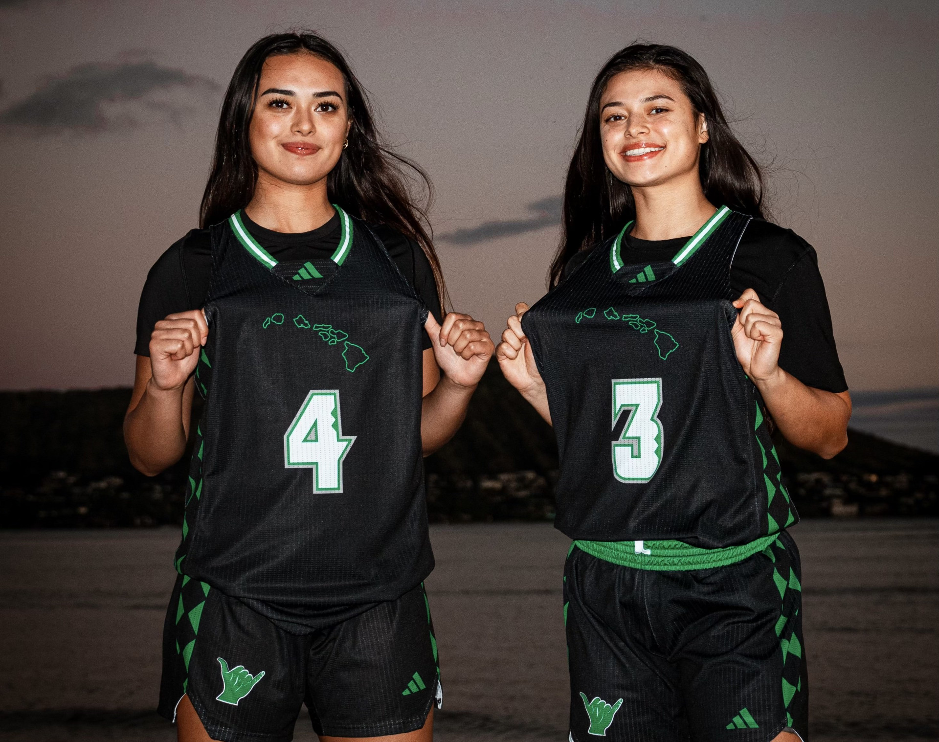 Hawaiian Night's - Beeman's Big Bash Auction background