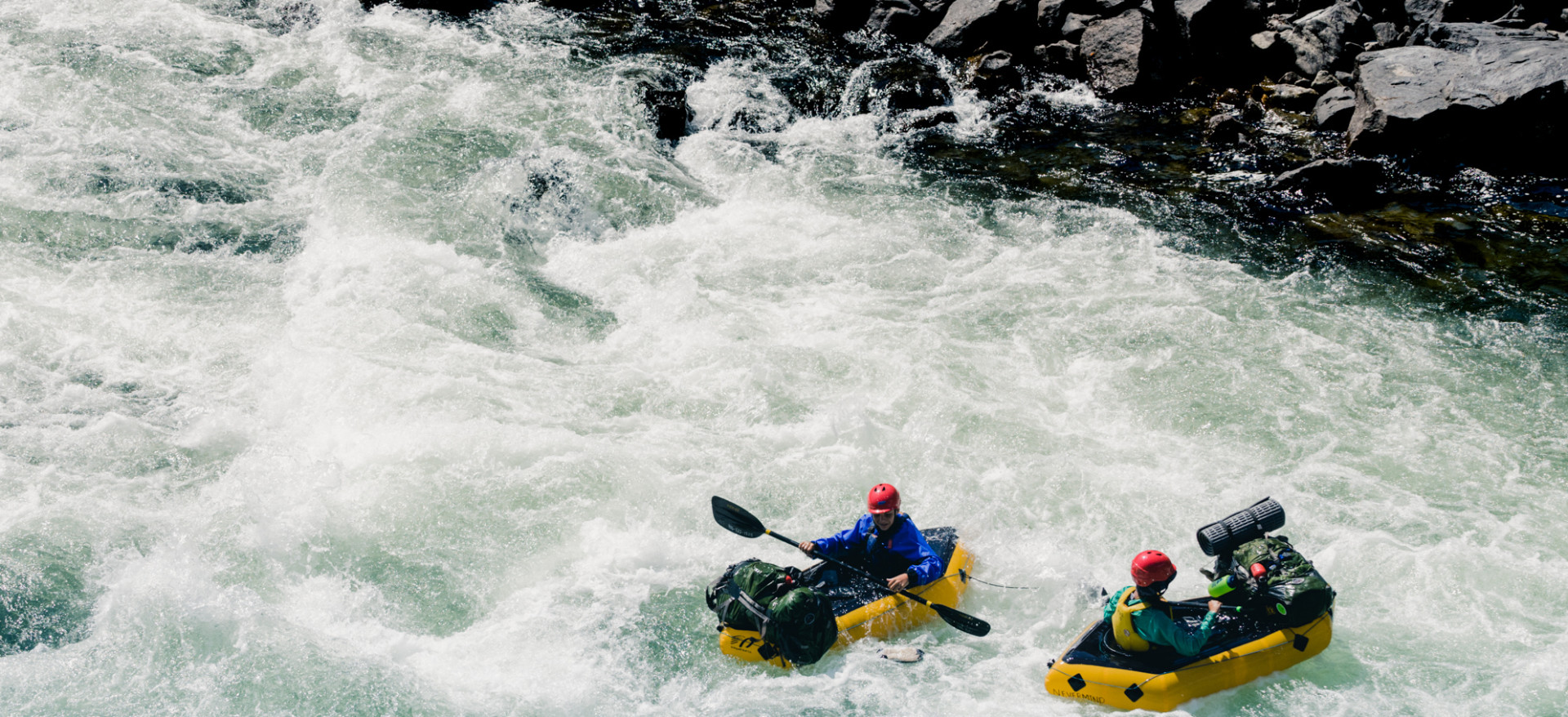 Spring Auction background