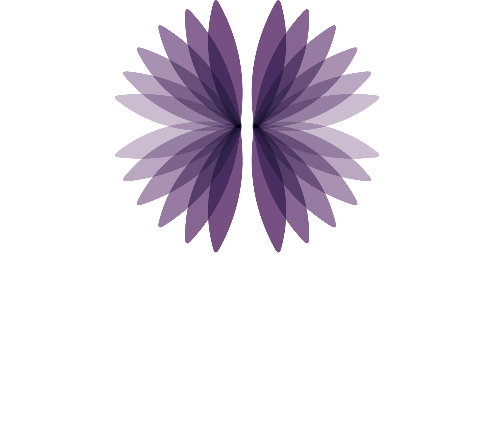 NeuroBalance Center logo