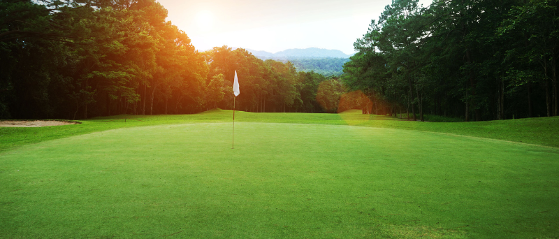 The 2024 Steel Dog Open Presented by Aarrow Transmission and Automotive background