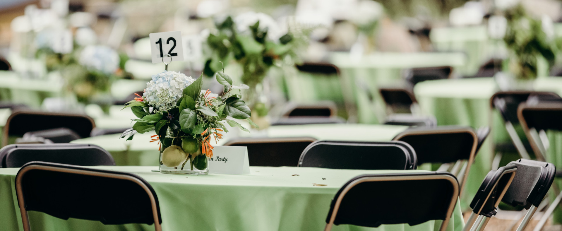 Monarchs & Margaritas 2024 background