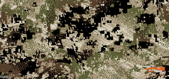 2025 Union/Wallowa County Chapter OHA background