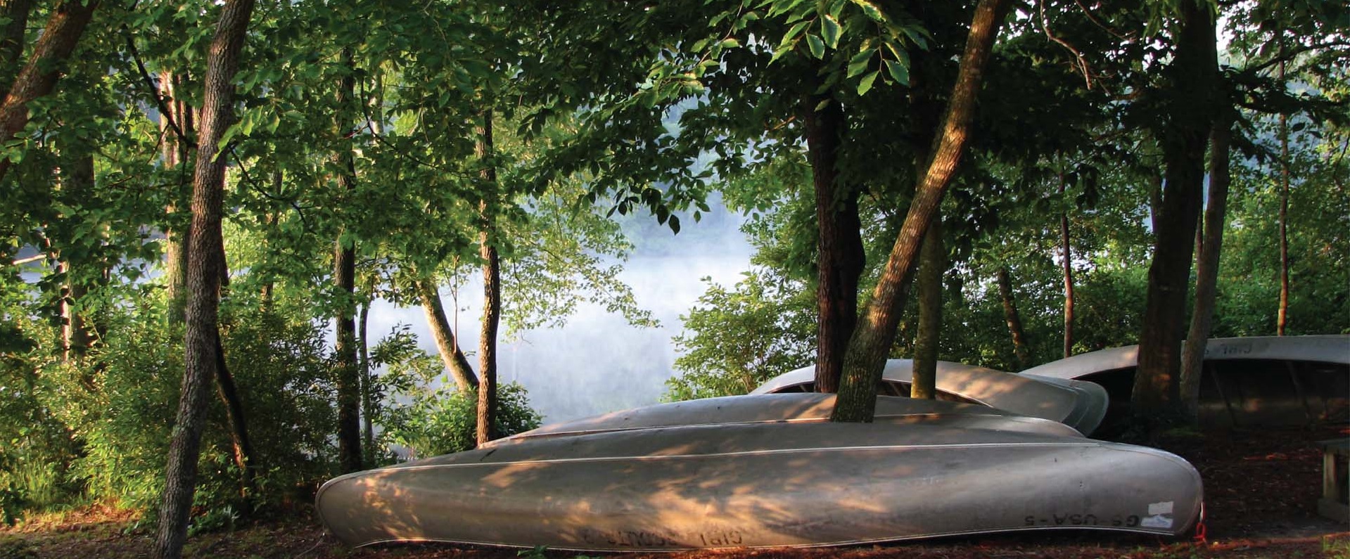 2024 Camp Is Calling Virtual Auction & D'ART Live Event background