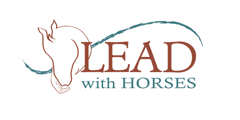 Horses and Harmony 2024 logo