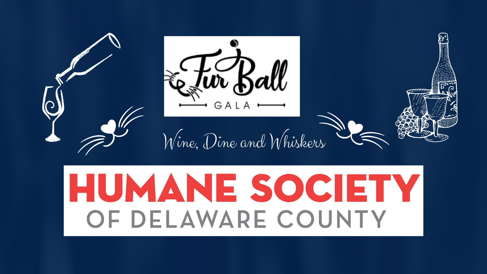 Fur Ball Gala background