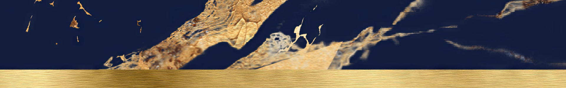 AALM 2024 Spring Gala logo