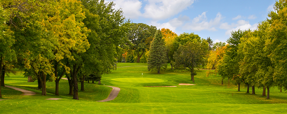 Island View Tournament background