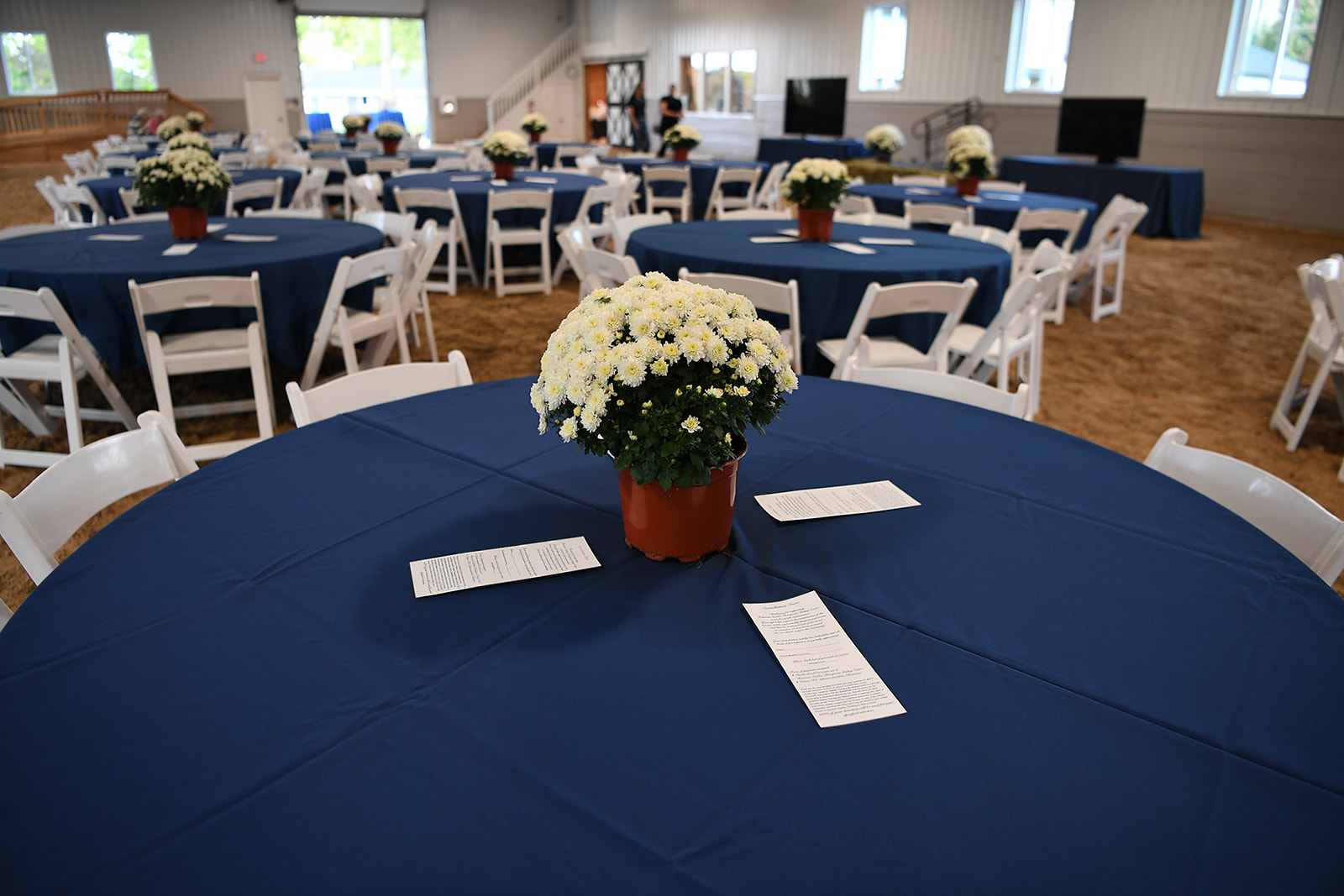 Tölt and Sold! Auction background