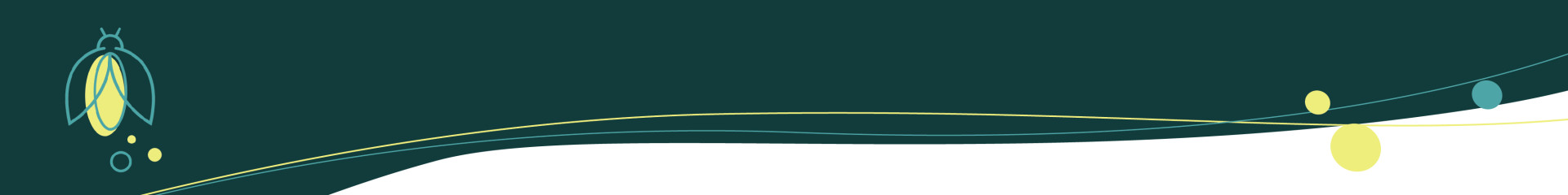 Light of Hope 2024 background