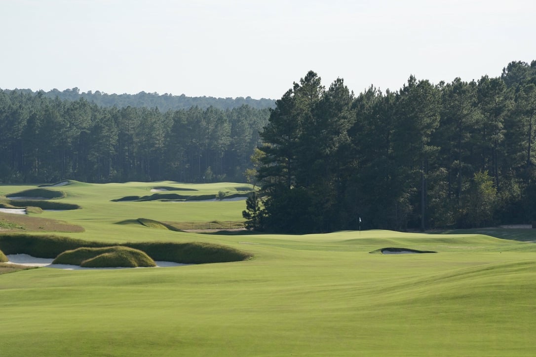 2024 AHPF Charity Golf Tournament Silent Auction background