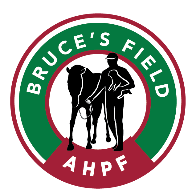 2024 AHPF Charity Golf Tournament Silent Auction logo