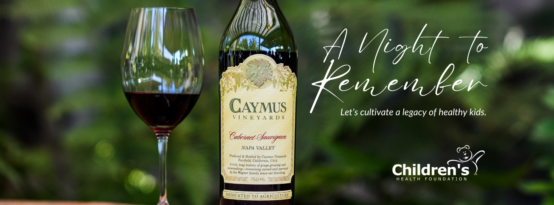 A Night to Remember - Let's Cultivate a Legacy of Healthy Kids background