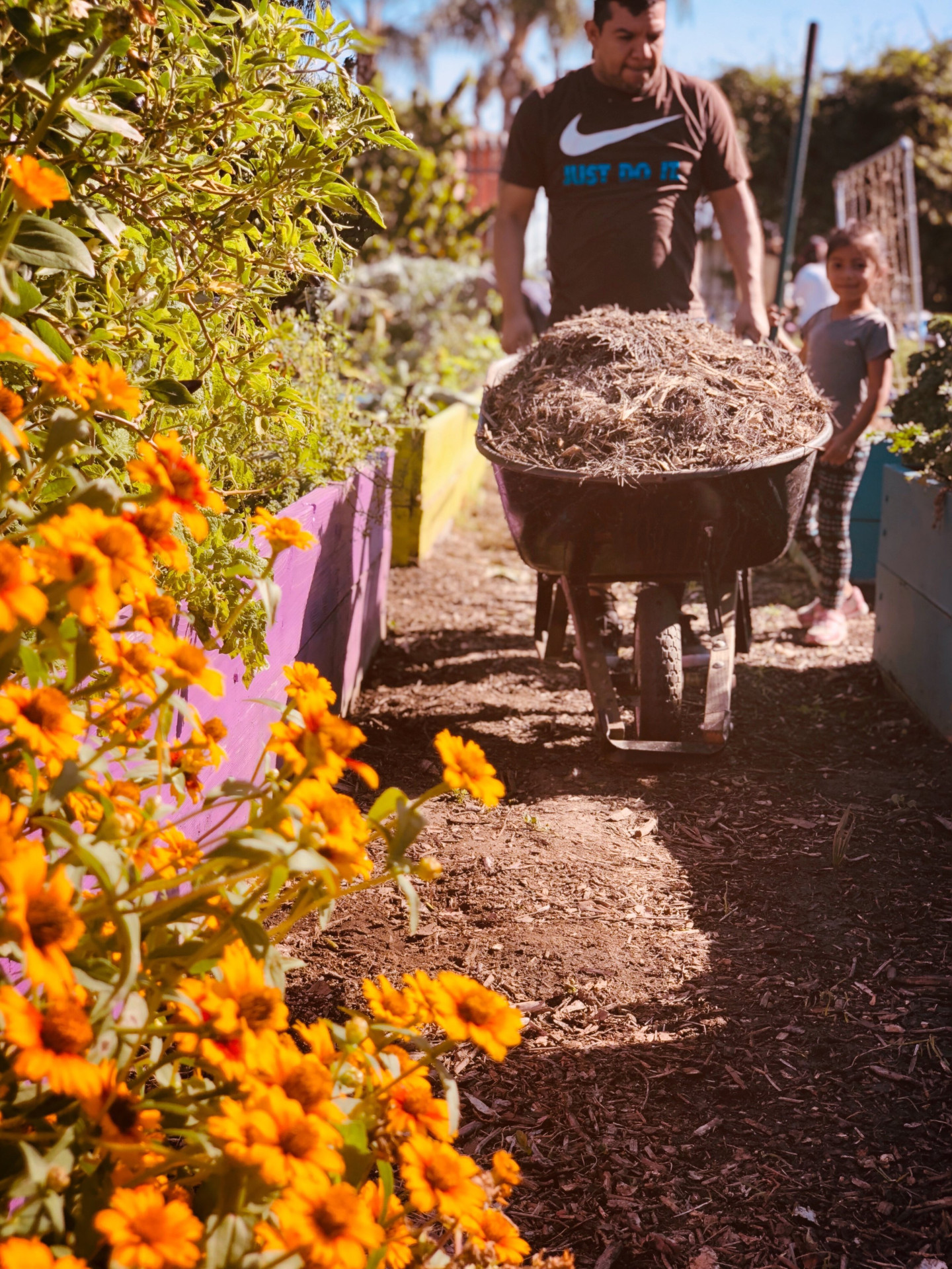 Los Angeles Neighborhood Land Trust background