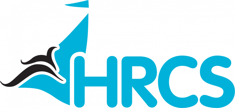 Sponsor logo