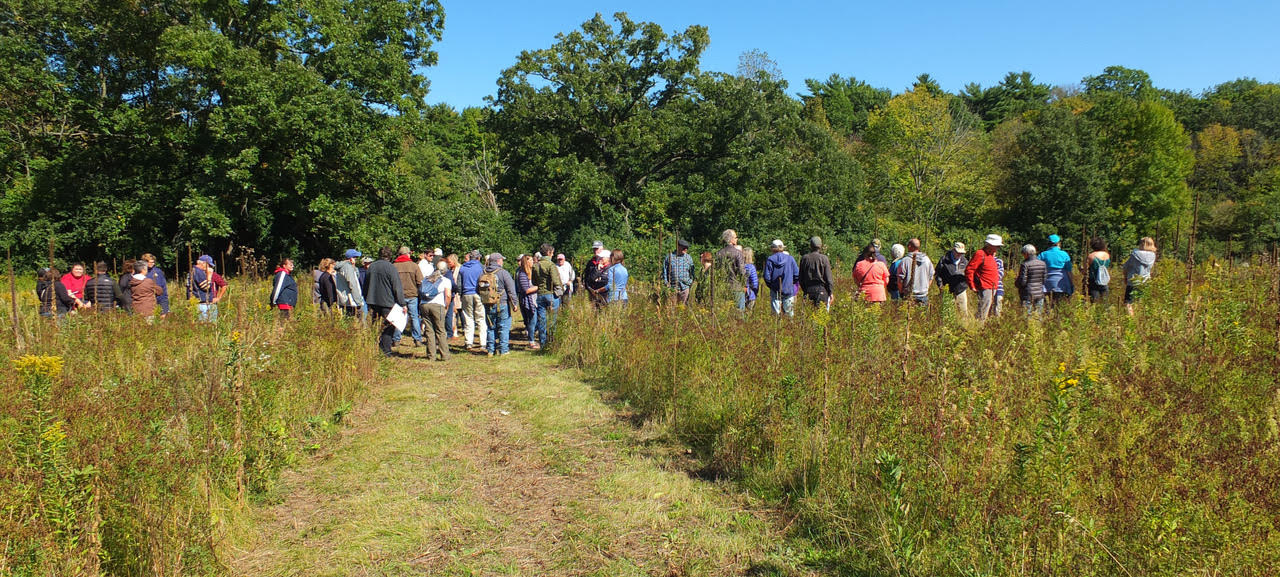 GLC 2024 Online Auction background