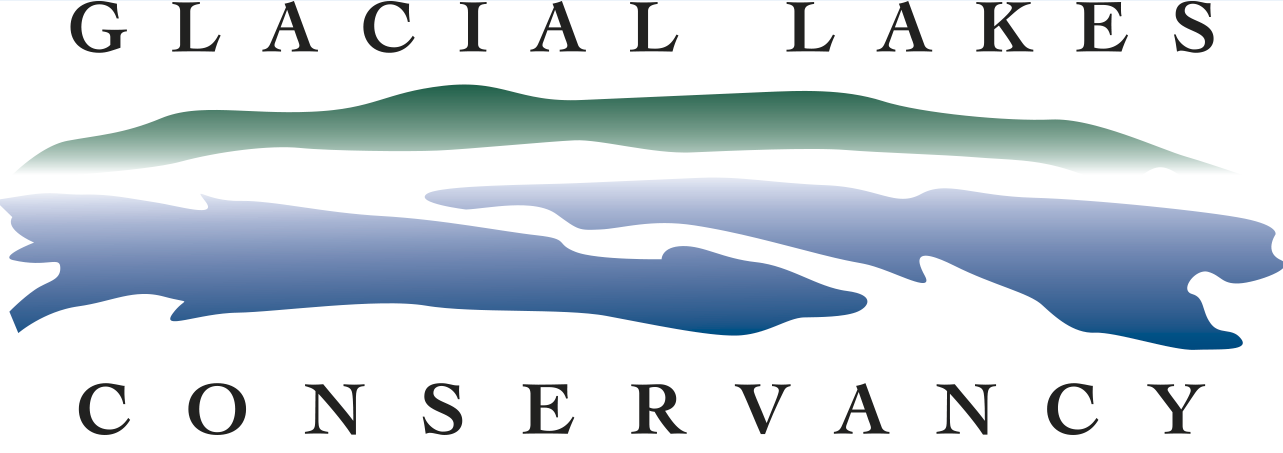 GLC 2024 Online Auction logo