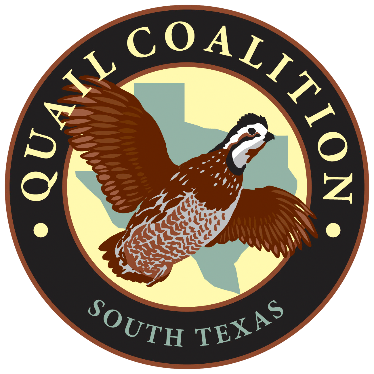 2024 South Texas QC logo
