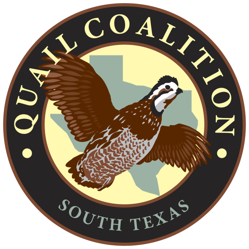 2024 South Texas QC logo