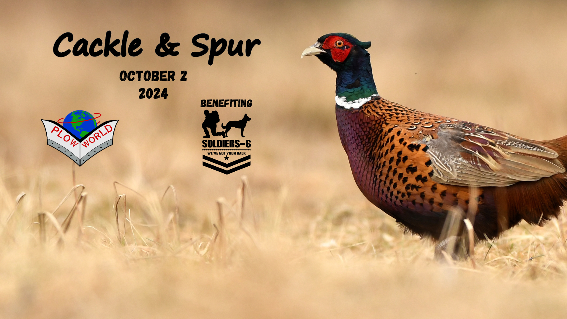 2nd Annual Plow Worlds Cackle and Spur Pheasant Hunt background