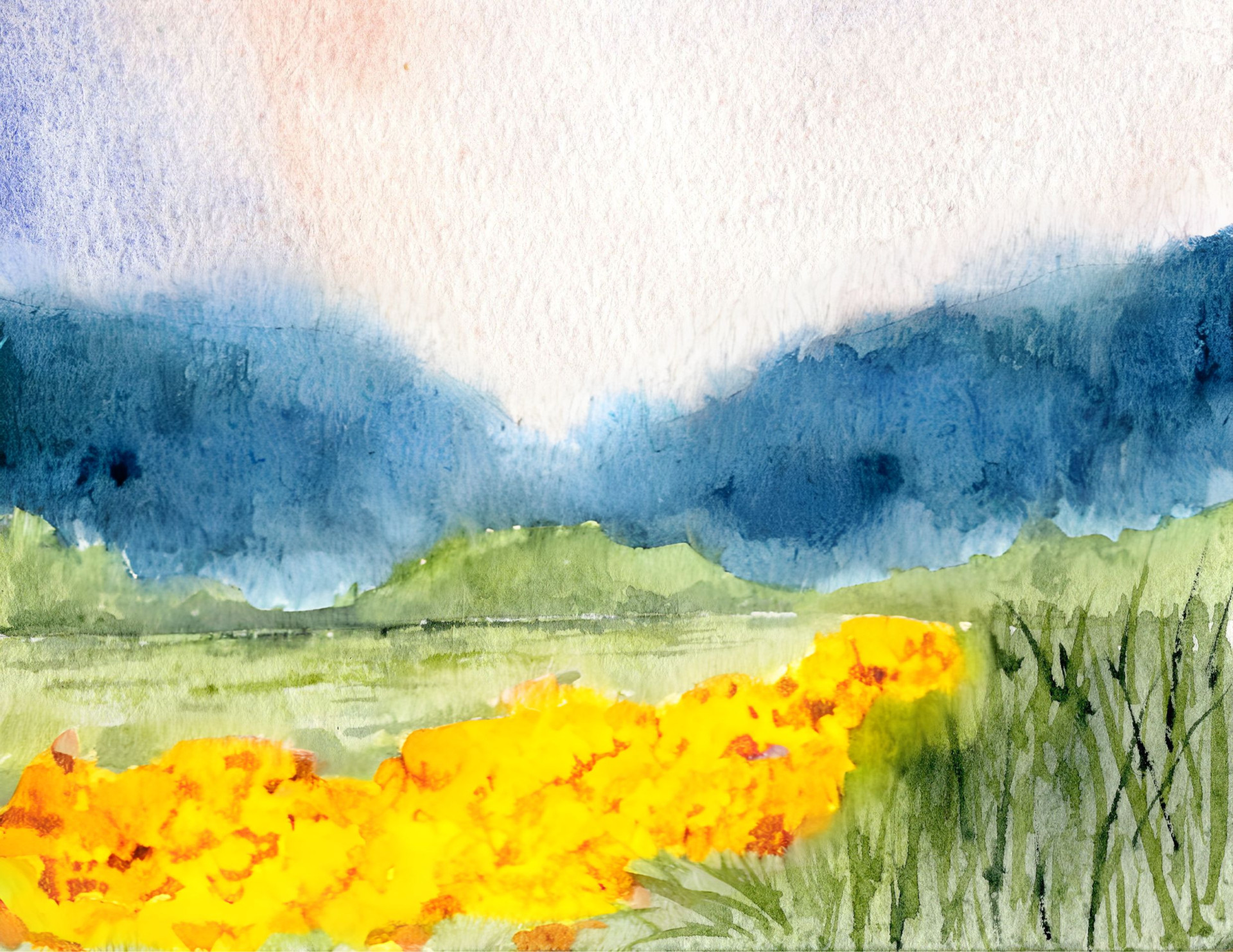 Third Avenue PlayWorks Annual Gala background