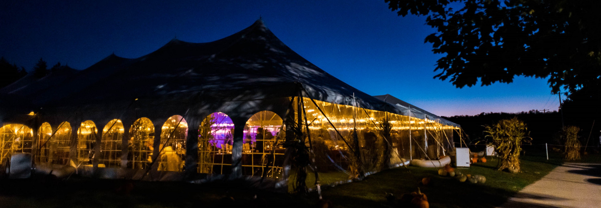 PCF Gala 2025 background