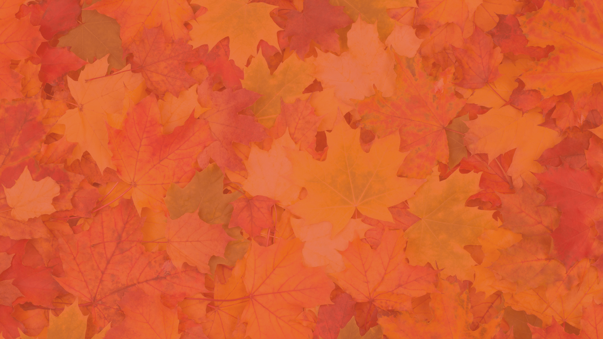 Vermont Institute of Natural Science background