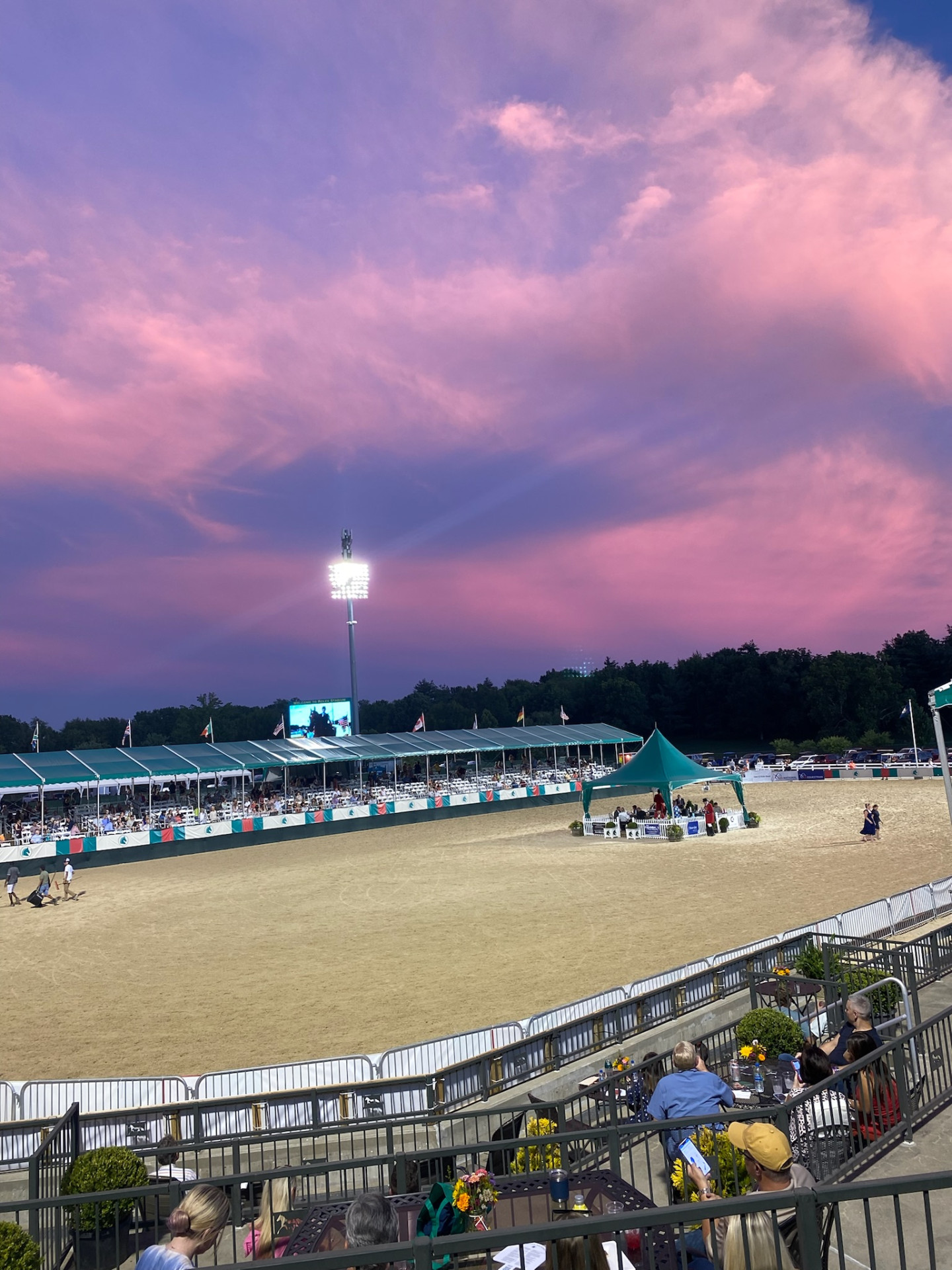 Horse Show background