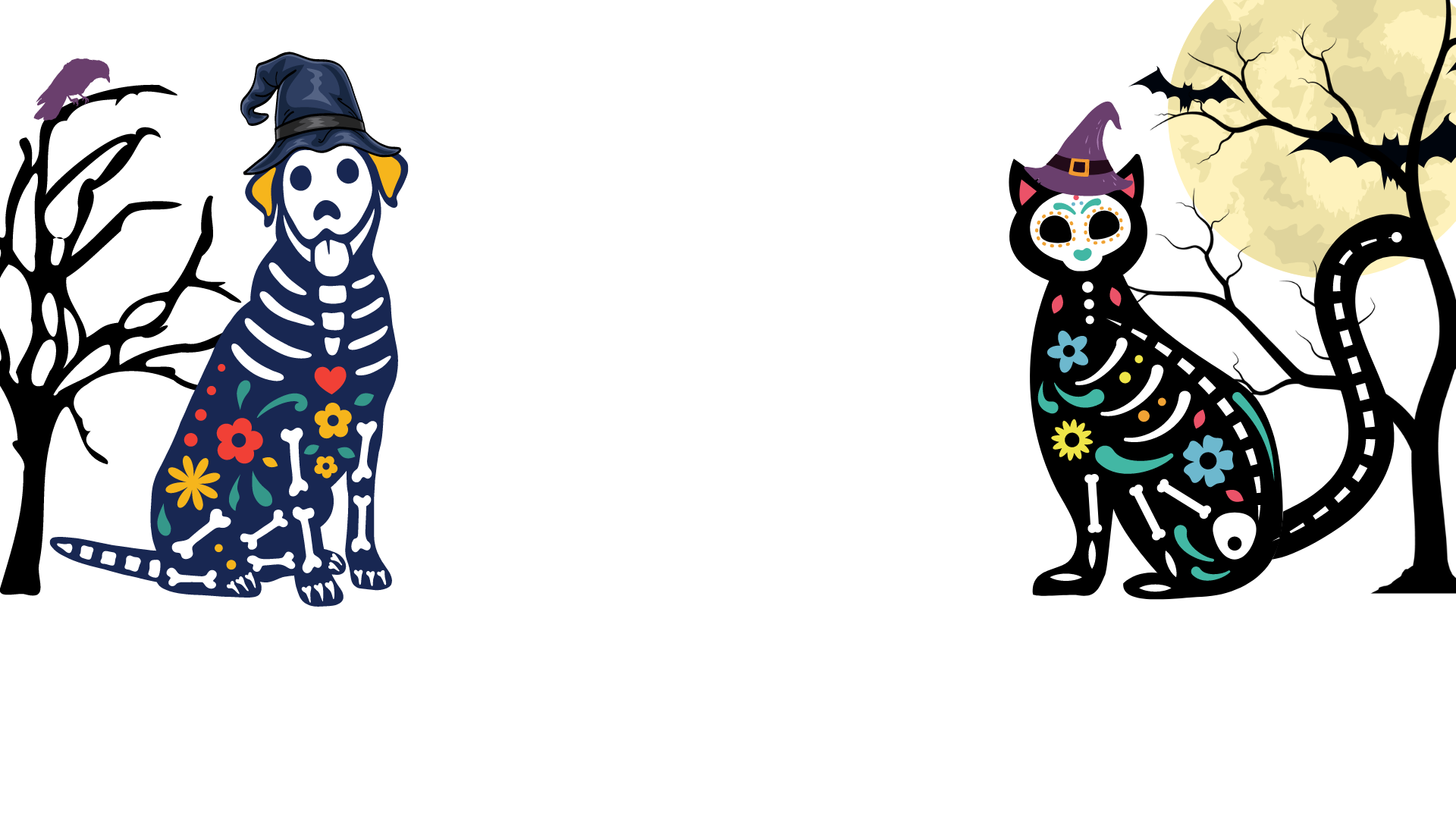 Spay-tacular 2024 background