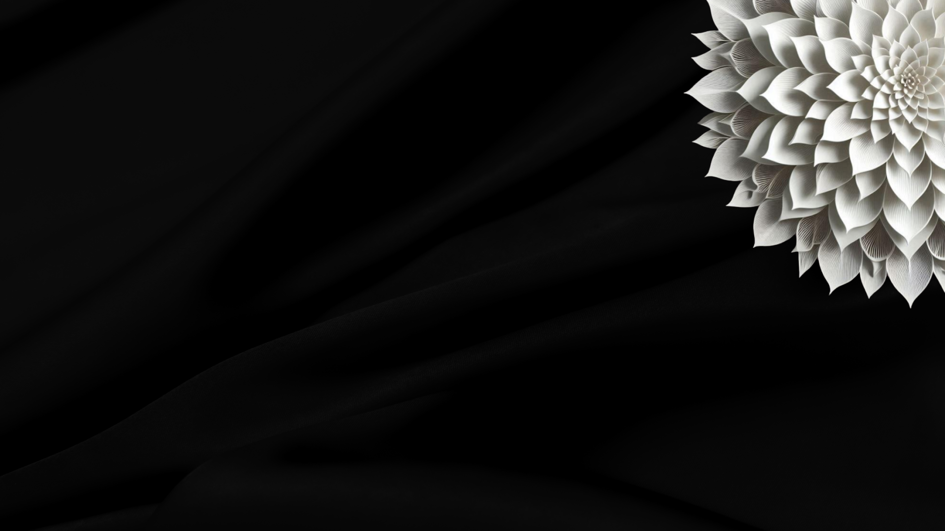 2024 FGI Dallas Night of Stars background