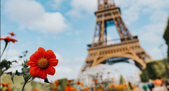 Federation of AF USA 2025 Online Auction background